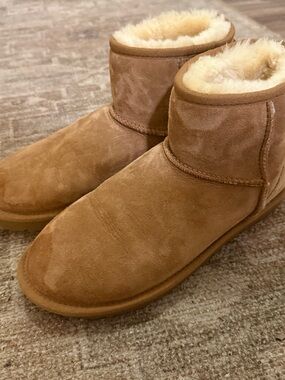 UGG Chestnut Suede Shearling Ankle Boots